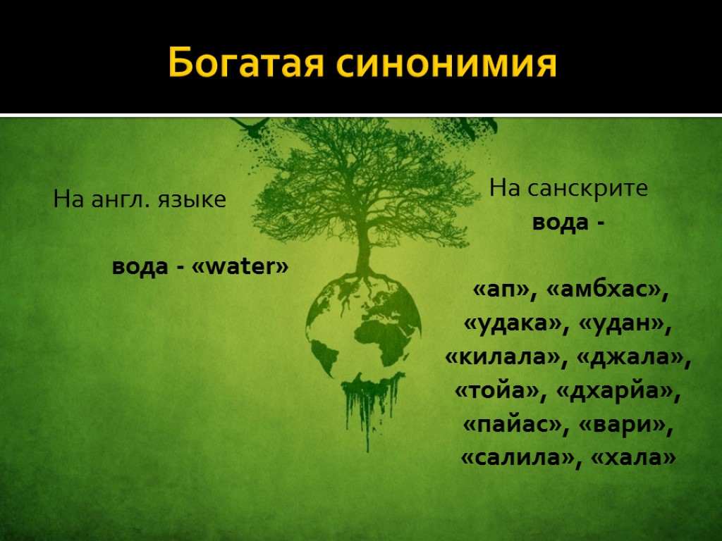 Богатая синонимия На англ. языке вода - «water» На санскрите вода - «ап», «амбхас»,